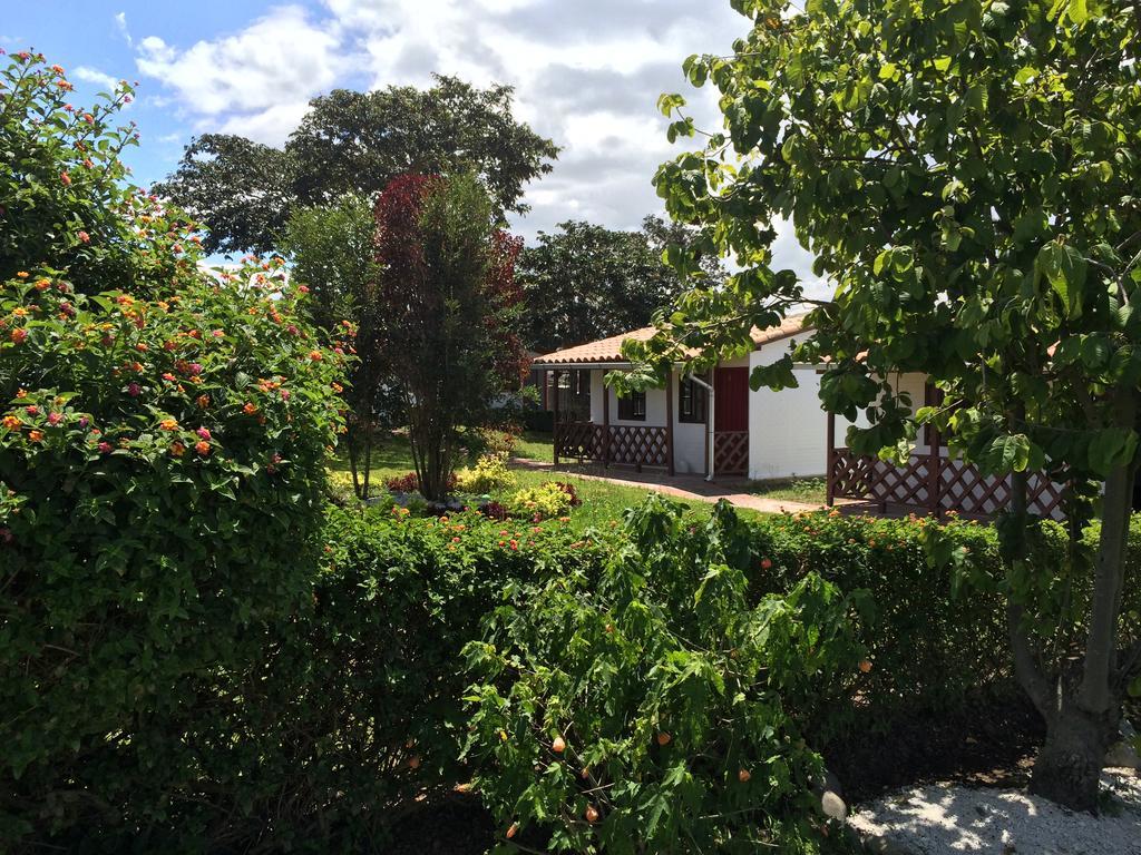 Hosteria Rosa Blanca Puembo Esterno foto